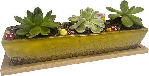 Miniatura 10 de Macetero para suculentas, macetas rectangulares de cerámica para suculentas, mini contenedores de flores con platillos de bambú para oficina,