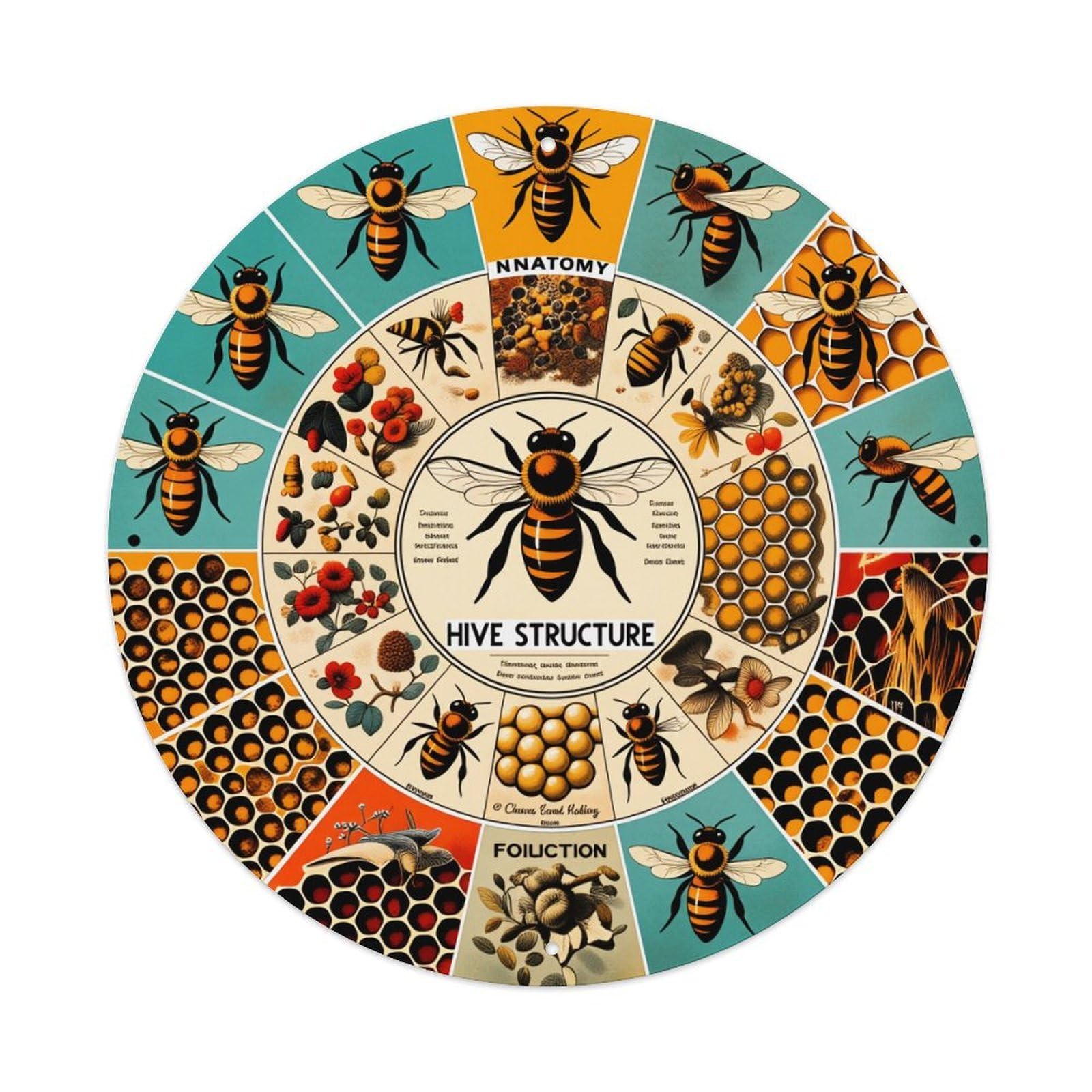 Jdfenggu Vintage Bee Anatomy Hive Structure Pollination Honeycomb Retro Metal Sign Round Tin Sign, Decor Art Poster For Bar, Home, Man Cave, Kitchen, Laundry Room Gift 8X8inch