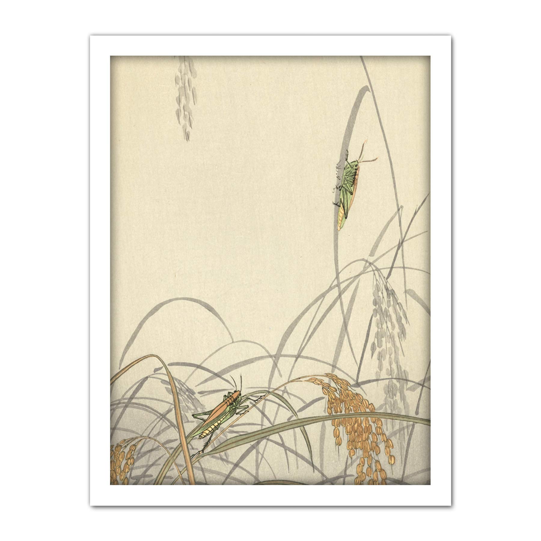 Artery8 Ohara Koson Grasshoppers On Rice Plants Painting Artwork Framed Wall Art Print 18X24 Inch