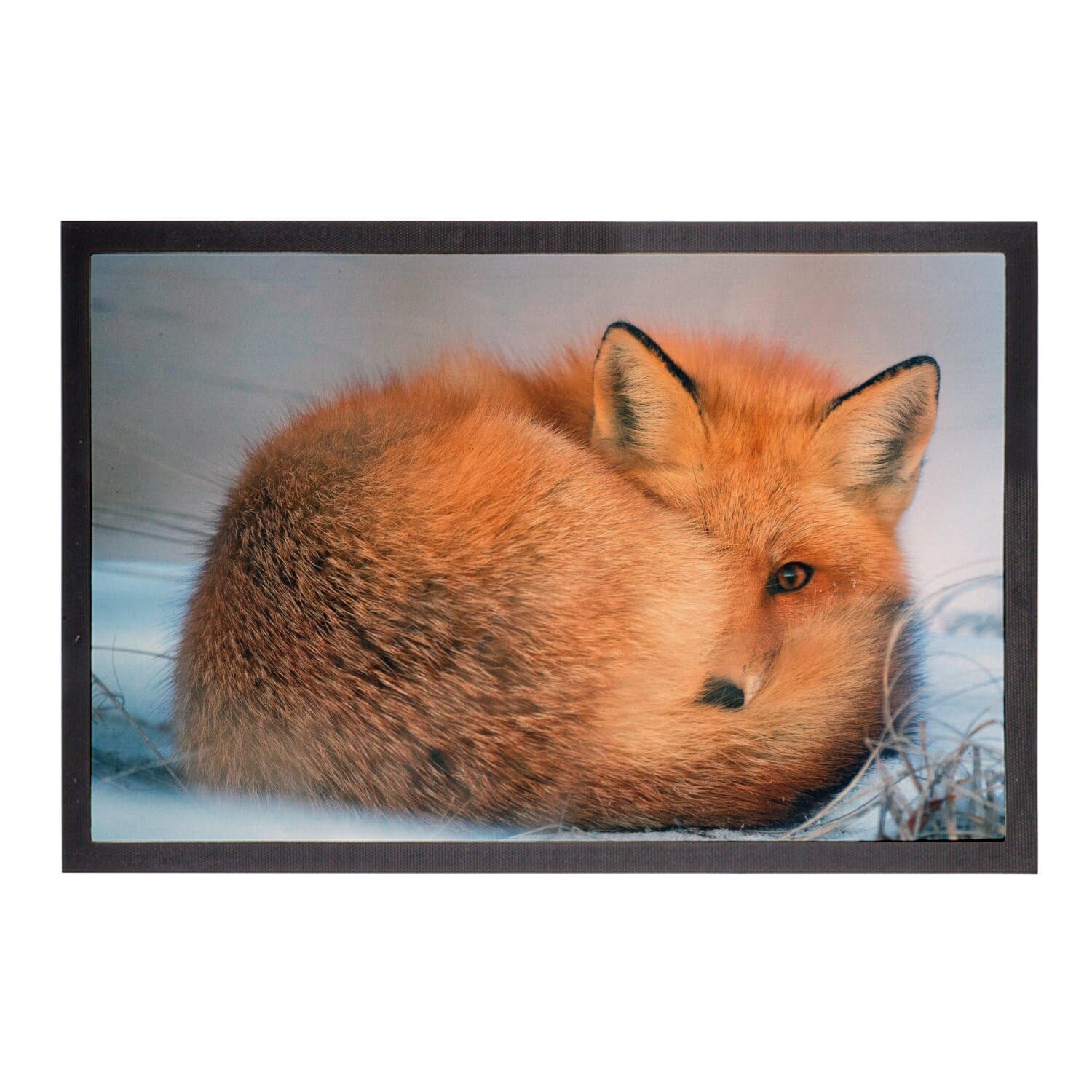 Paillasson Renard Roux Cadeau Crémaillère Idéal 75x50cm