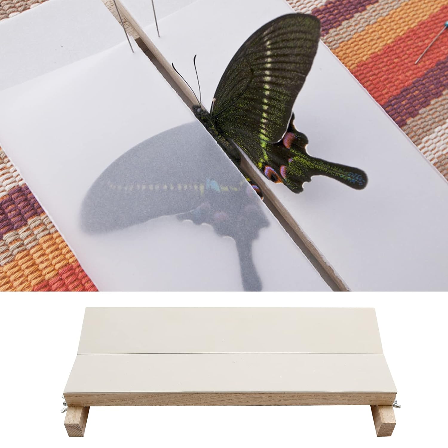 Saihisday Insect Pinning Board Adjustable Insect Pinning Spreading Board Specimen Display Board Pinning Board Spreading Mounting Board for Science Education 13.77x6.29x1.85inch