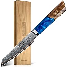 HOSHANHO 大马士革削皮刀 4 英寸,67 层大马士革钢制专业小厨房刀,超锋利水果刀,带符合人体工程学的蓝色树脂稳定木柄和木制礼盒