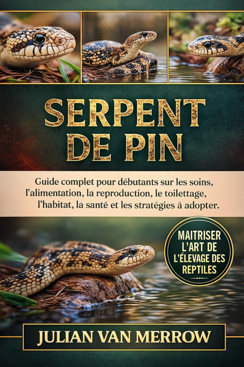 SERPENT DE PIN: Guide complet pour débutants sur les soins, l'alimentation, la reproduction, le toilettage, l'habitat, la santé et les stratégies à adopter.