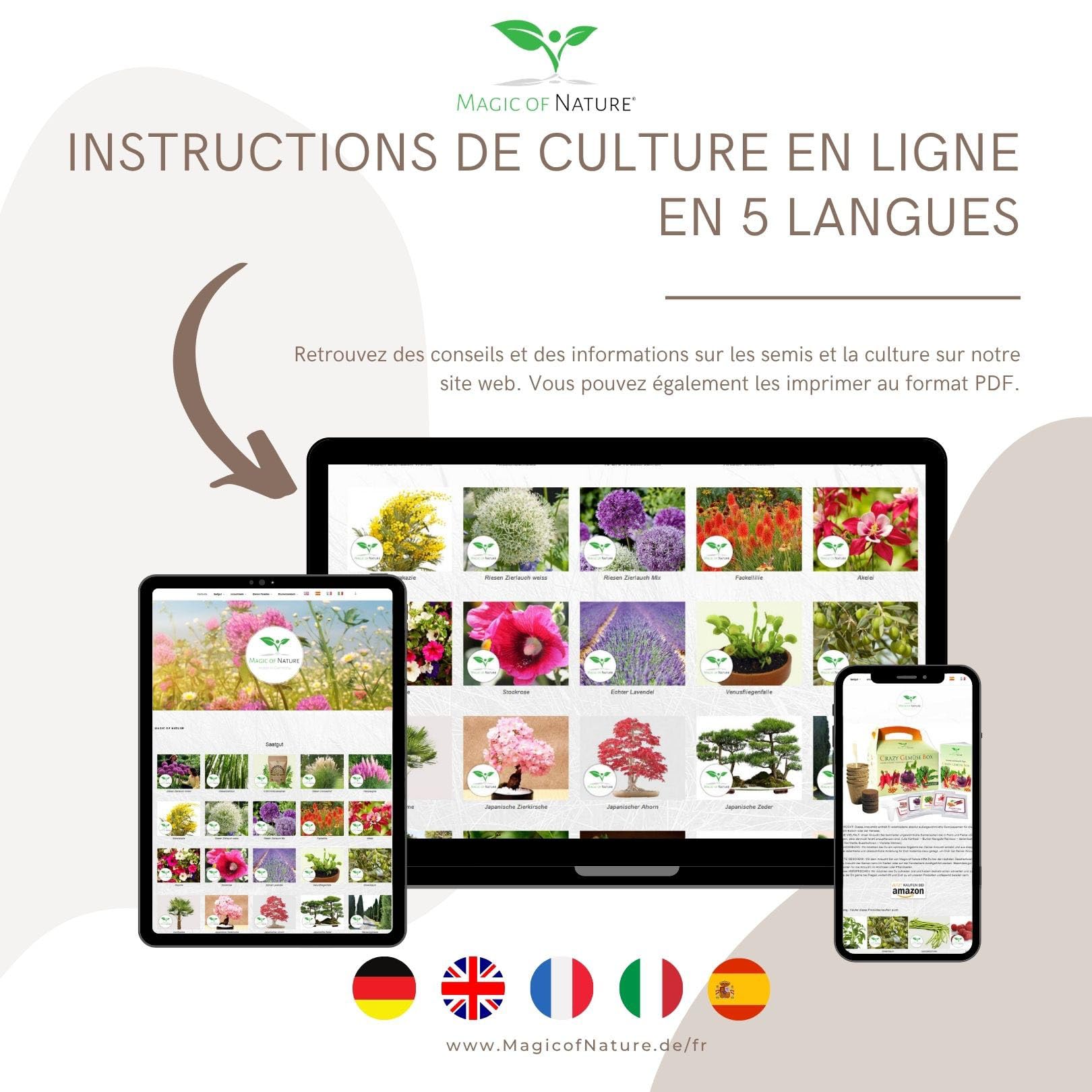 Magic of Nature: Graines d'Érable du Japon Rouge (20 Pcs) - Adapté au Bonsaï