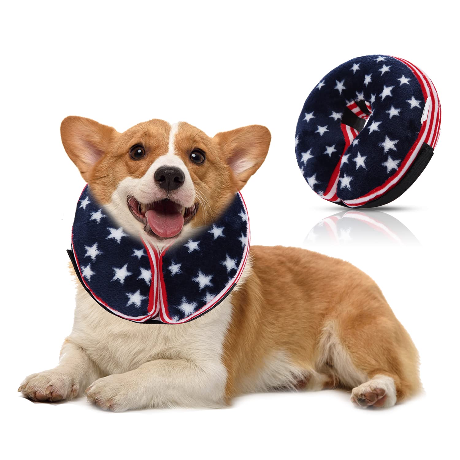 Do I Have To Keep The Cone On My Dogs Head