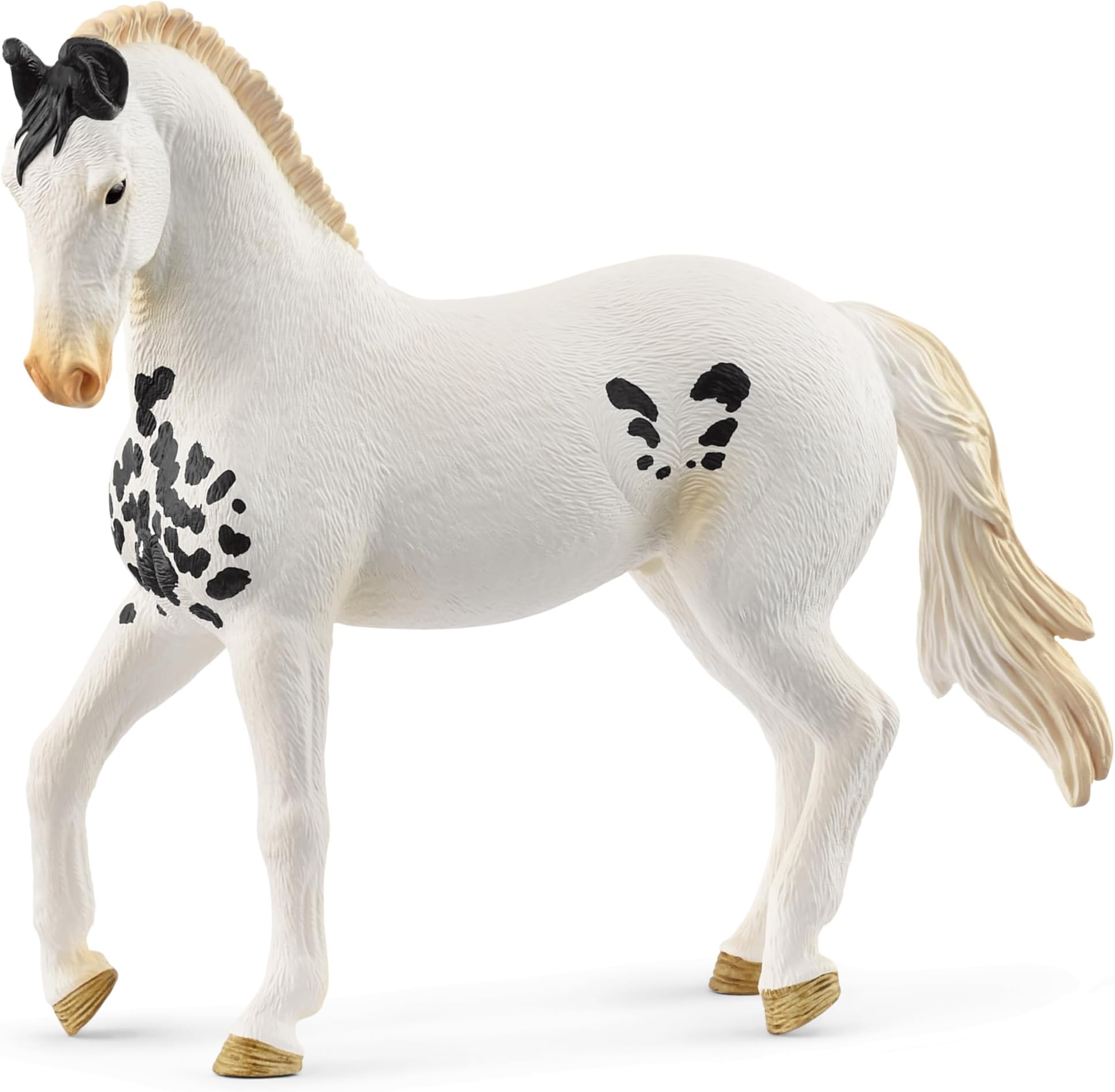 Marwari Stallion