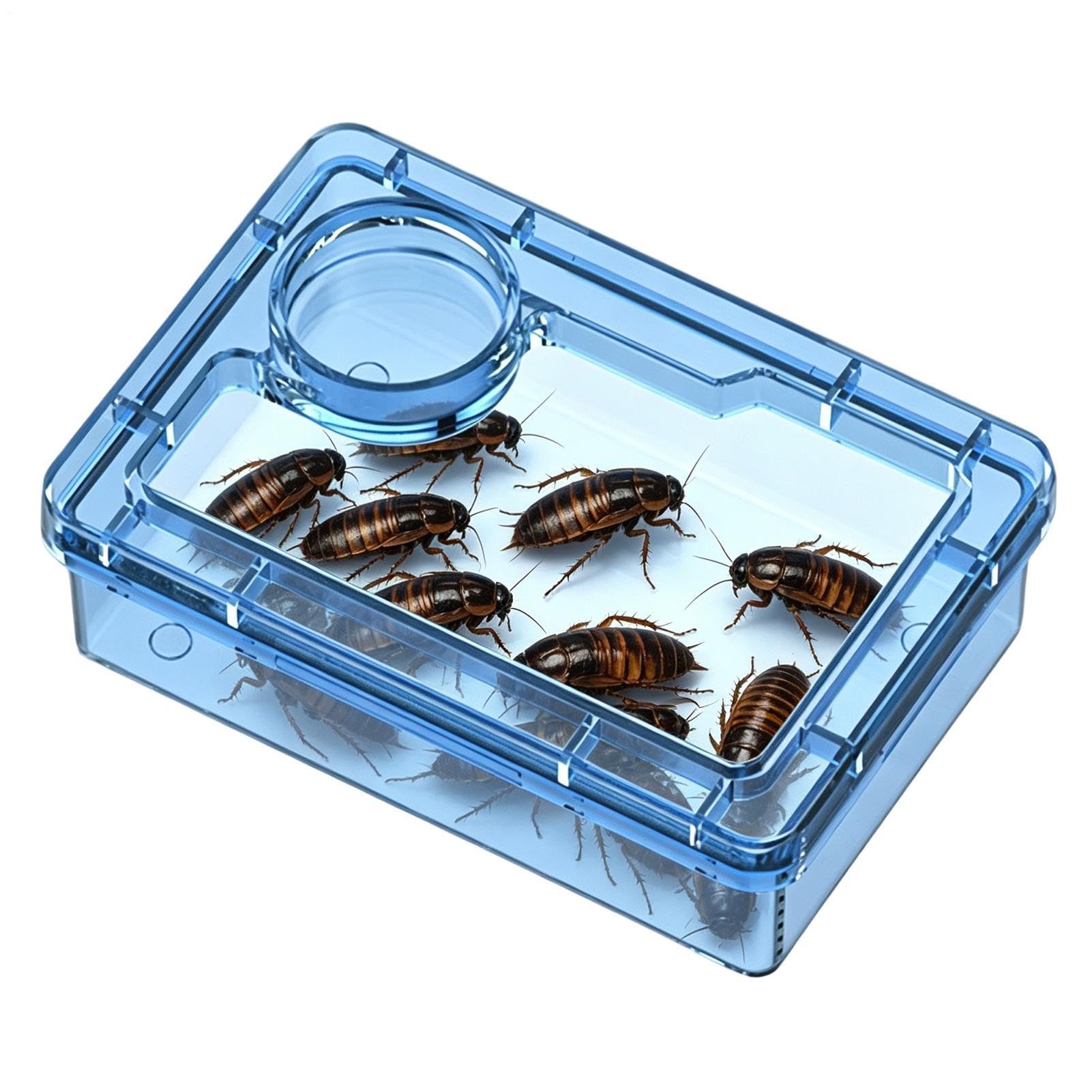 Reptile Feeding Dish Clear Escape Proof Feeder