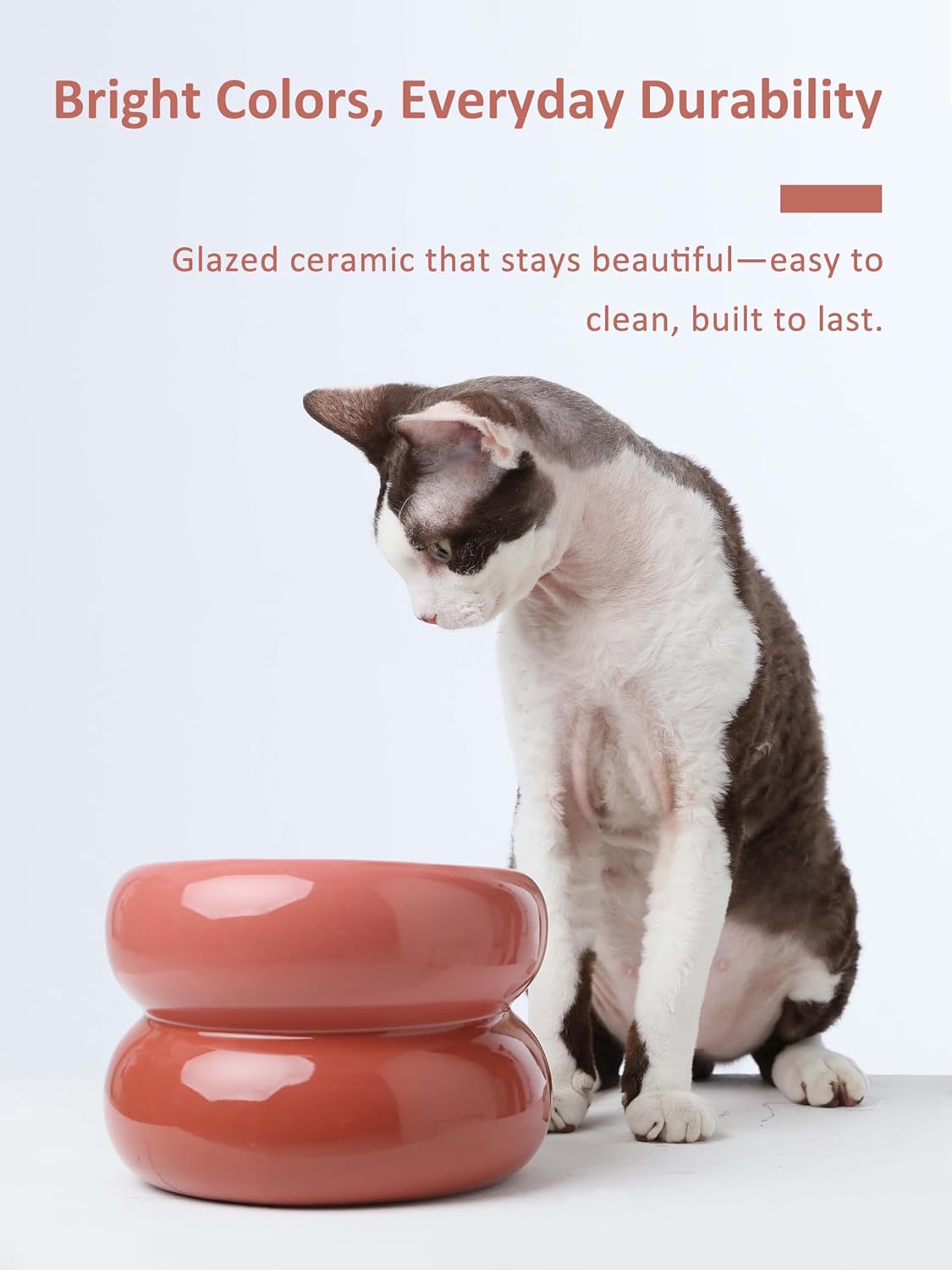 Ceramic Elevated Cat and Dog Bowls for Small Dogs, Non-Slip Tilted Raised Cat Food and Water Bowls Whisker Friendly, Standing Wet Food Bowl-Pink