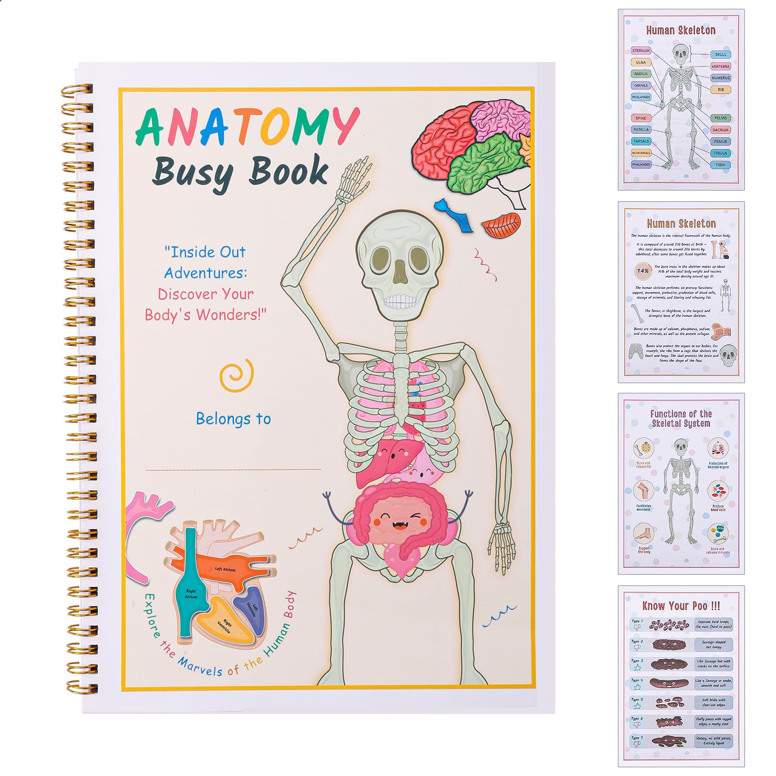 Montessori Busy Book for Kids Human Anatomy Busy Book My Preschool Busy Book for Kindergarten Interactive Learning Activities Understanding Human Body Kids Anatomy Book