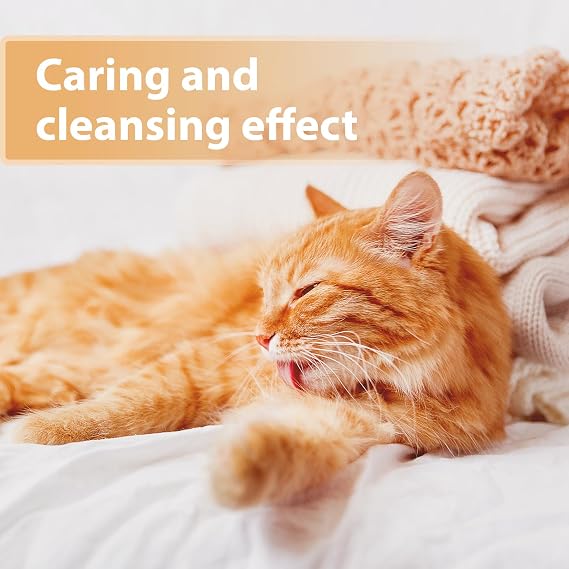 Felisept wound spray for cats 75ml - Cat antiseptic - Cat wound treatment, Wound spray for cats to clean wounds, skin and mucous membranes - Wound care for cats - Easy to use and painless for cats