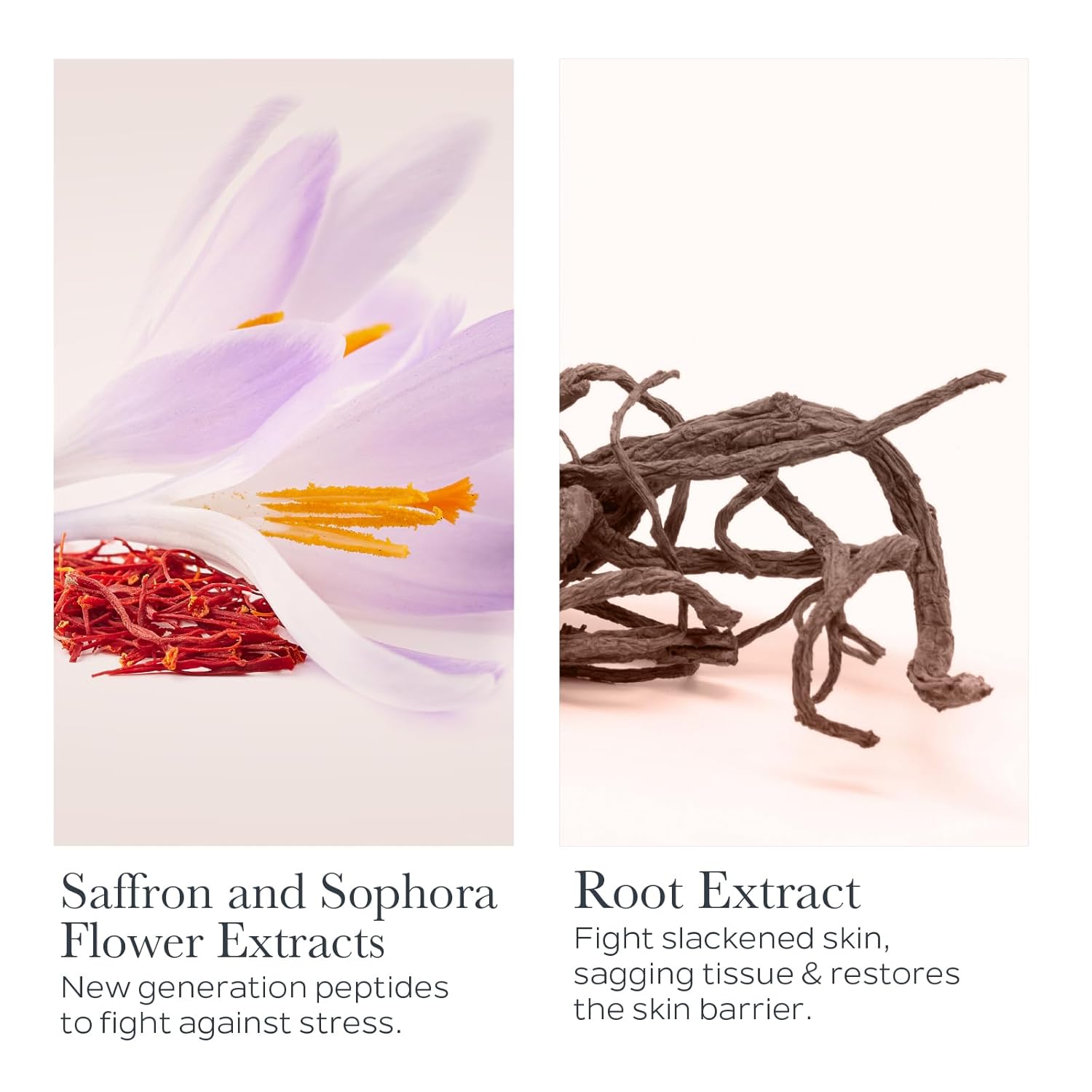 SOTHYS Restructuring Youth Cream | Anti Wrinkle Face Moisturizer | Hydrating Facial Lotion - Image 3