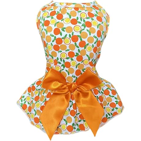 Lemon-Colored Dog Dress