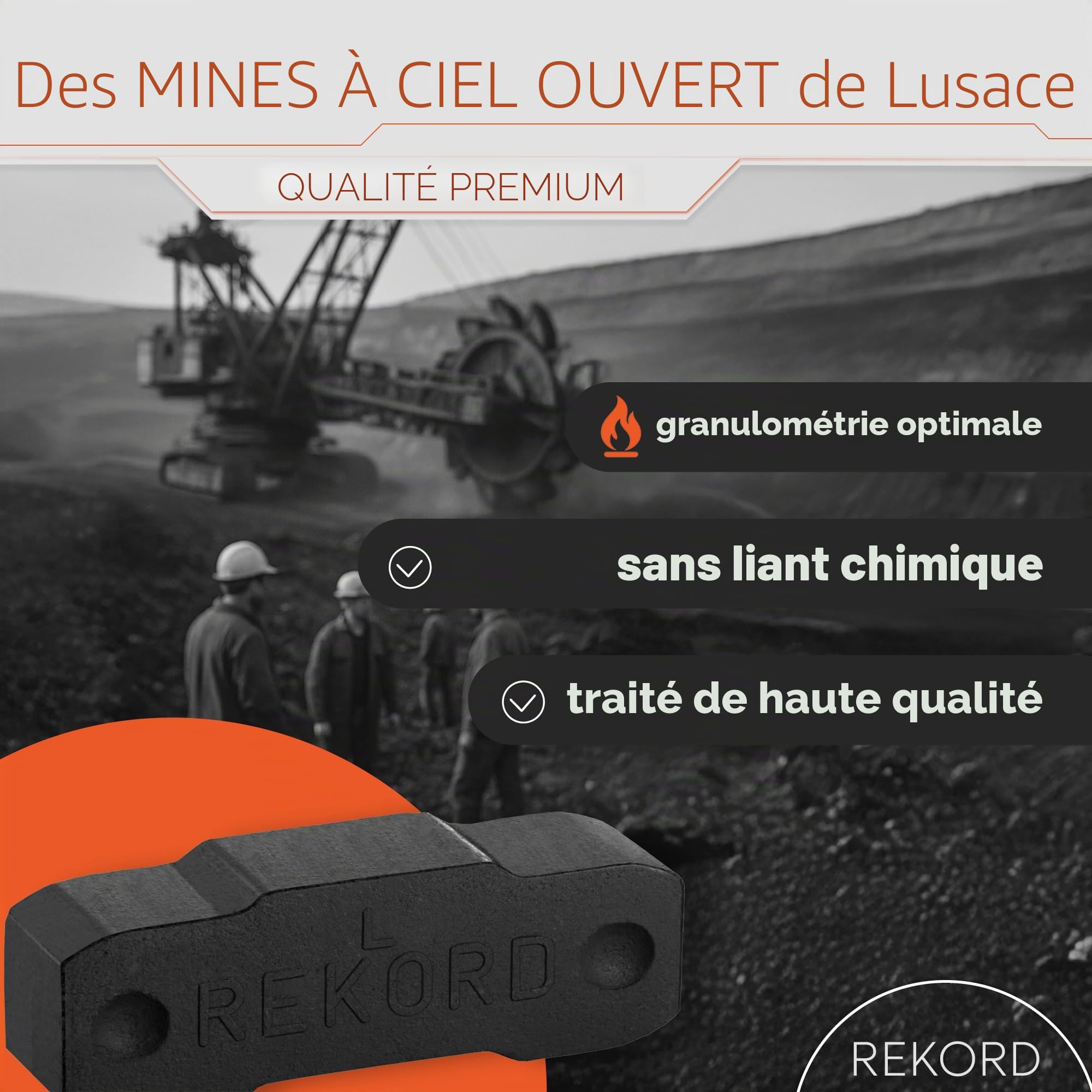 Briquettes de lignite Rekord - Briquettes de chauffage - Pour cheminée, poêle - Baquet de 25 kg - 1 carton