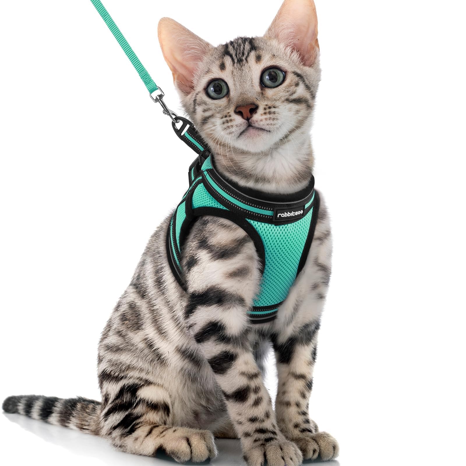 rabbitgoo Cat Harness and Leash Set for Walking Escape Proof, Adjustable Soft Kittens Vest with Reflective Strip for Cats, Comfortable Outdoor Vest, Black, Small — view 41