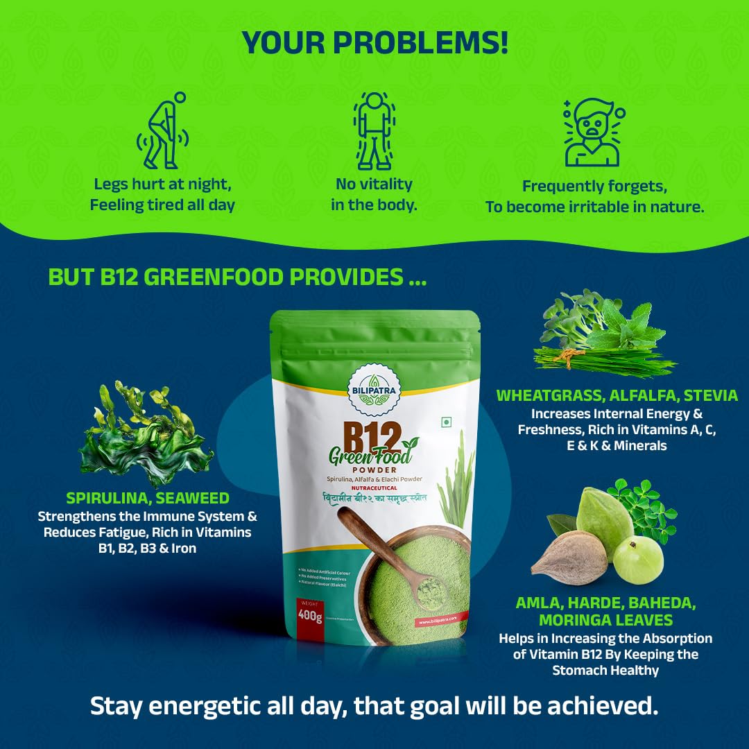 B12GreenFood Powder Plant Based Vitamin B12 Supplement 400g — Amazon image 5