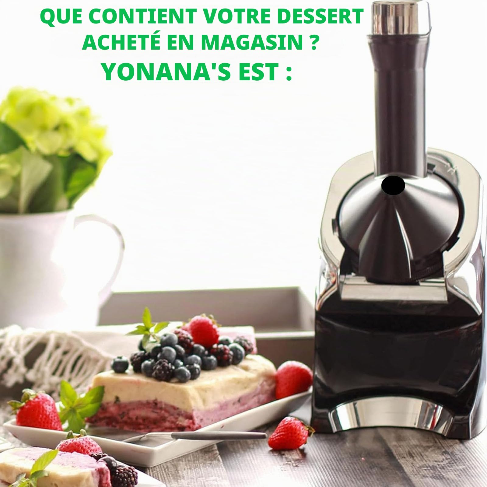 Sorbetière électrique pour desserts glacés faits maison, glaces à l'italienne, sorbets et yaourts glacés, facile à utiliser et friandises saines pour toute la famille