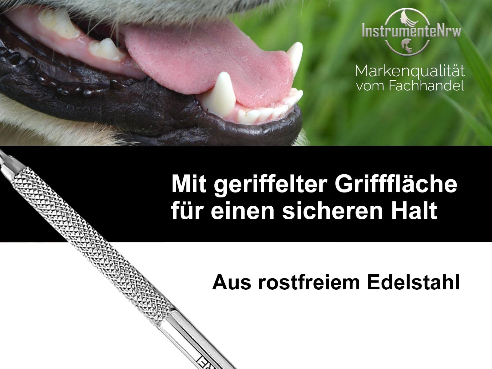 Zahnsteinentferner Hunde Scaler Zahnreiniger für Haustiere Zahnbürsten-Ersatz aus Edelstahl für Haustier Zahnreinigung Zahnpflege Zahnsteinkratzer (Typ 22)