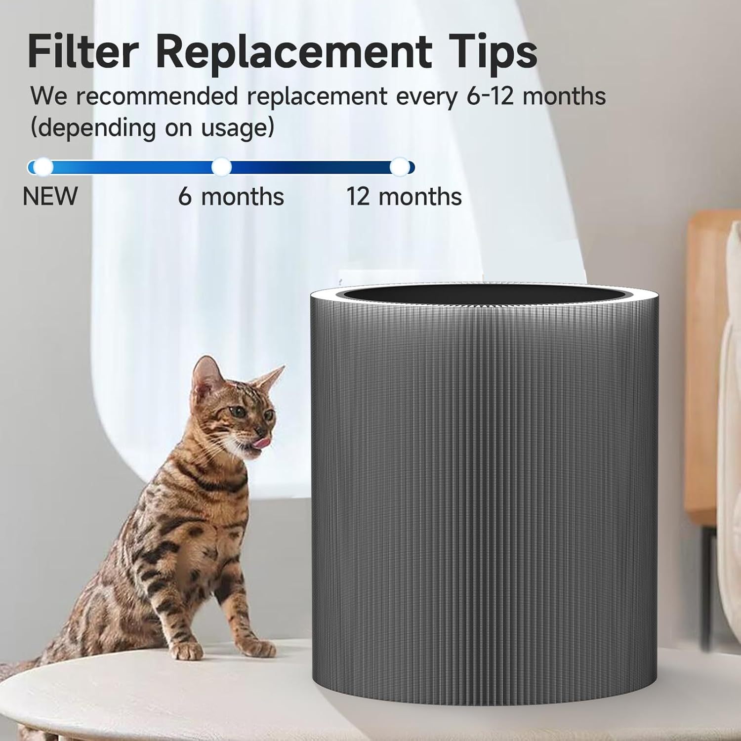 C610 Replacement Filter Z, Compatible with Winix C610, 1712-0121-00, 3-in-1 True HEPA Filter, 2 Pack