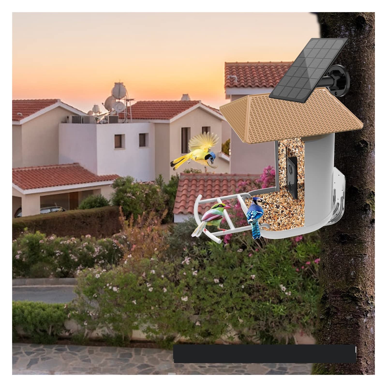 Birdbuddy ソーラールーフ付スマートバードフィーダー Birdbuddy: Birdbuddy Pro