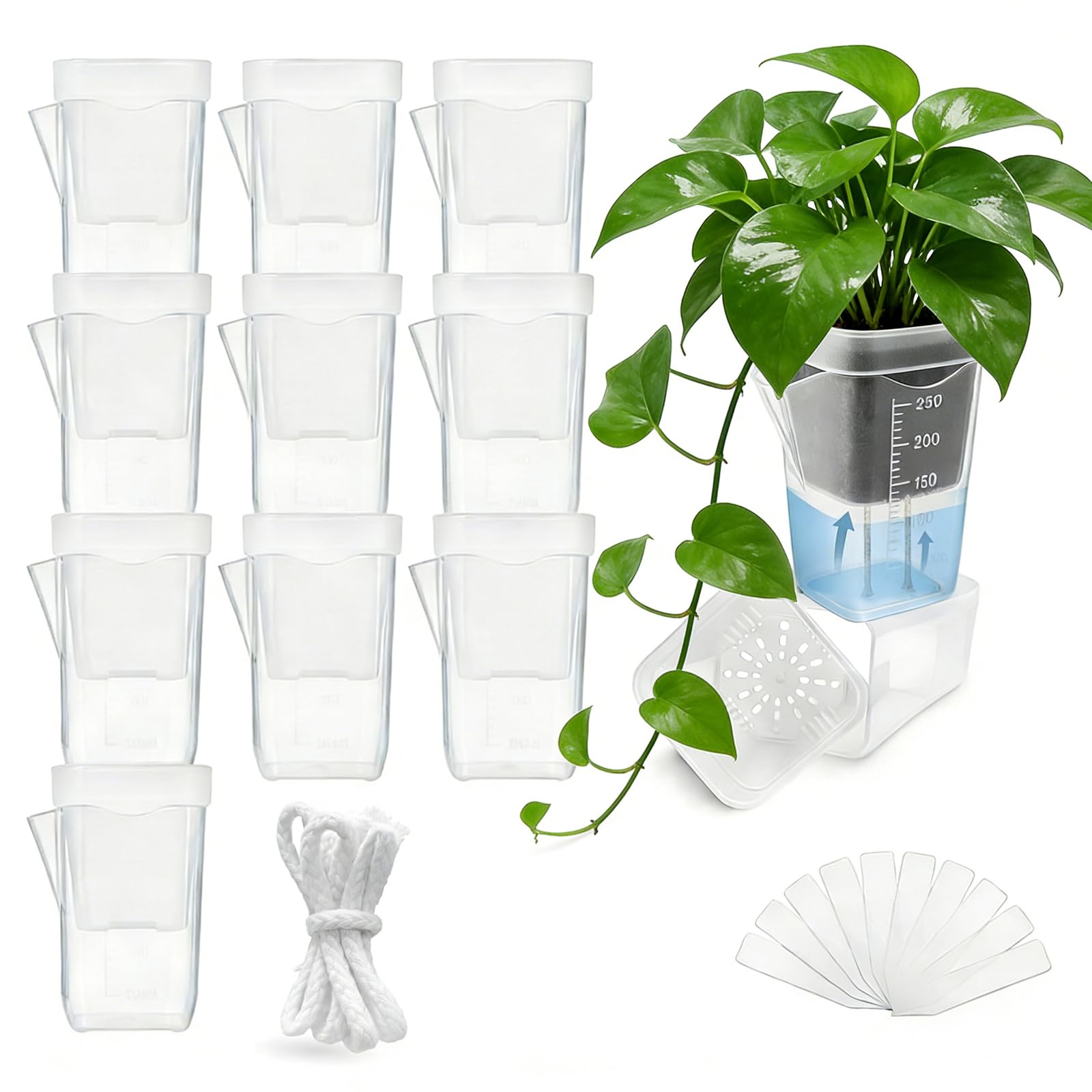 Amazon.co.jp: 給水プランター 植木鉢 10個セット 6.4cm 小型 可愛い
