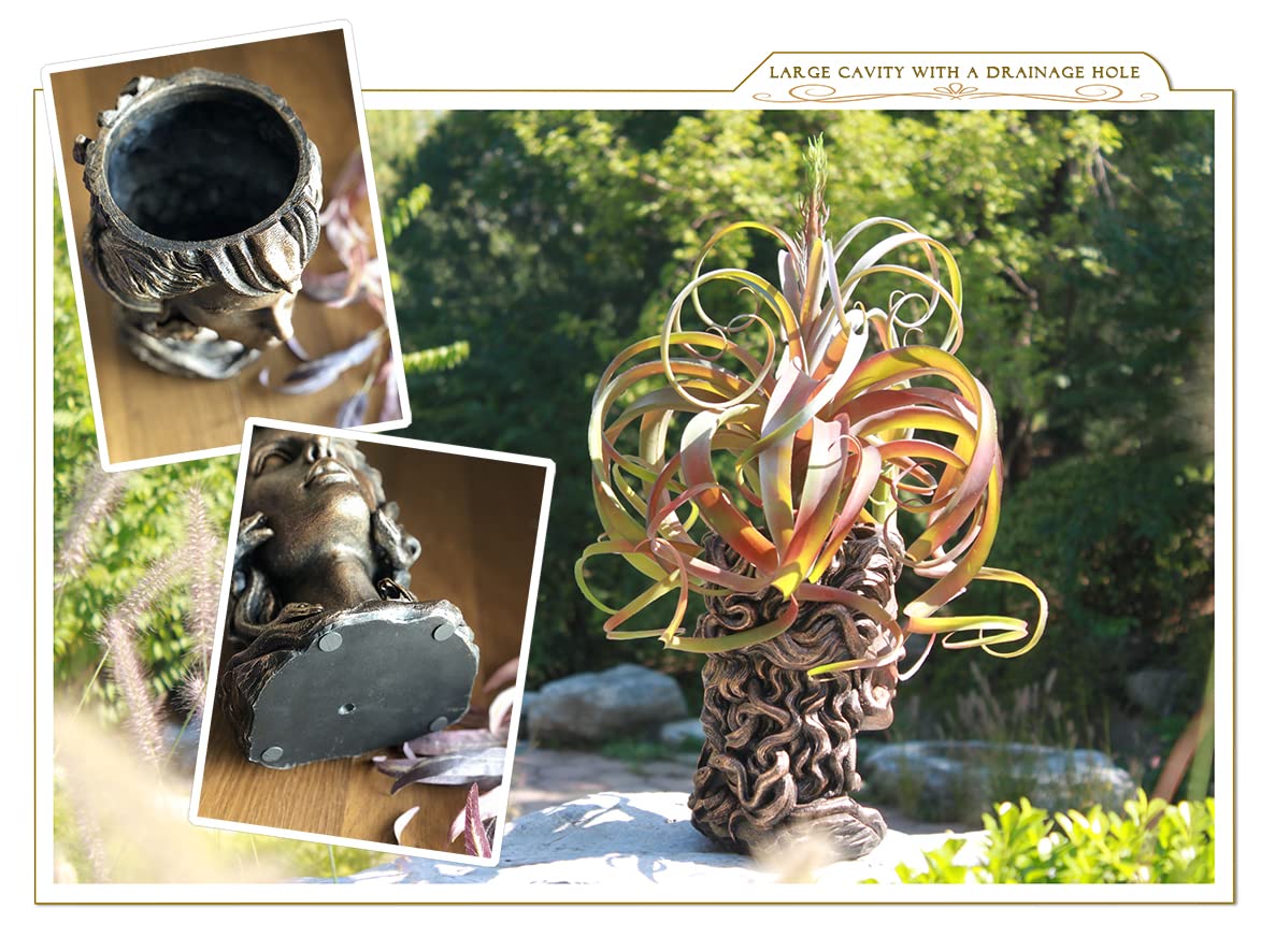 Medusa Head Pflanzgefäß, Bronze-Finish, Gesichtsvase für Innenbereich, Pflanztopf mit Ablaufloch, Blumentopf für den Außenbereich, groß