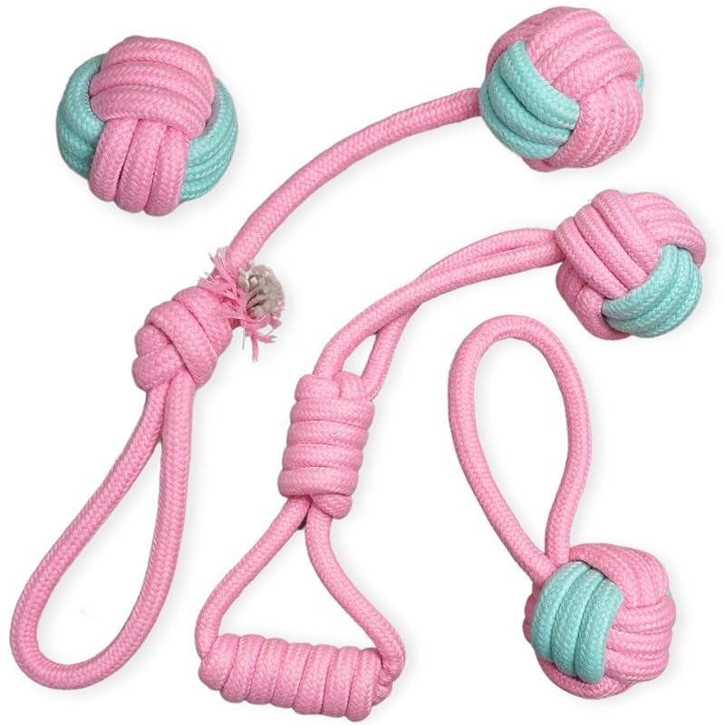 Brinquedos de Corda para Cães em Algodão com Trama Espessa 2ME, Pacote com 4