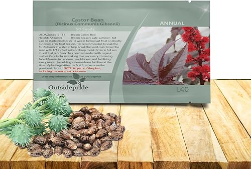 Outsidepride 100 semillas anuales Ricinus Communis ricino Gibsonii semillas de flores para plantar