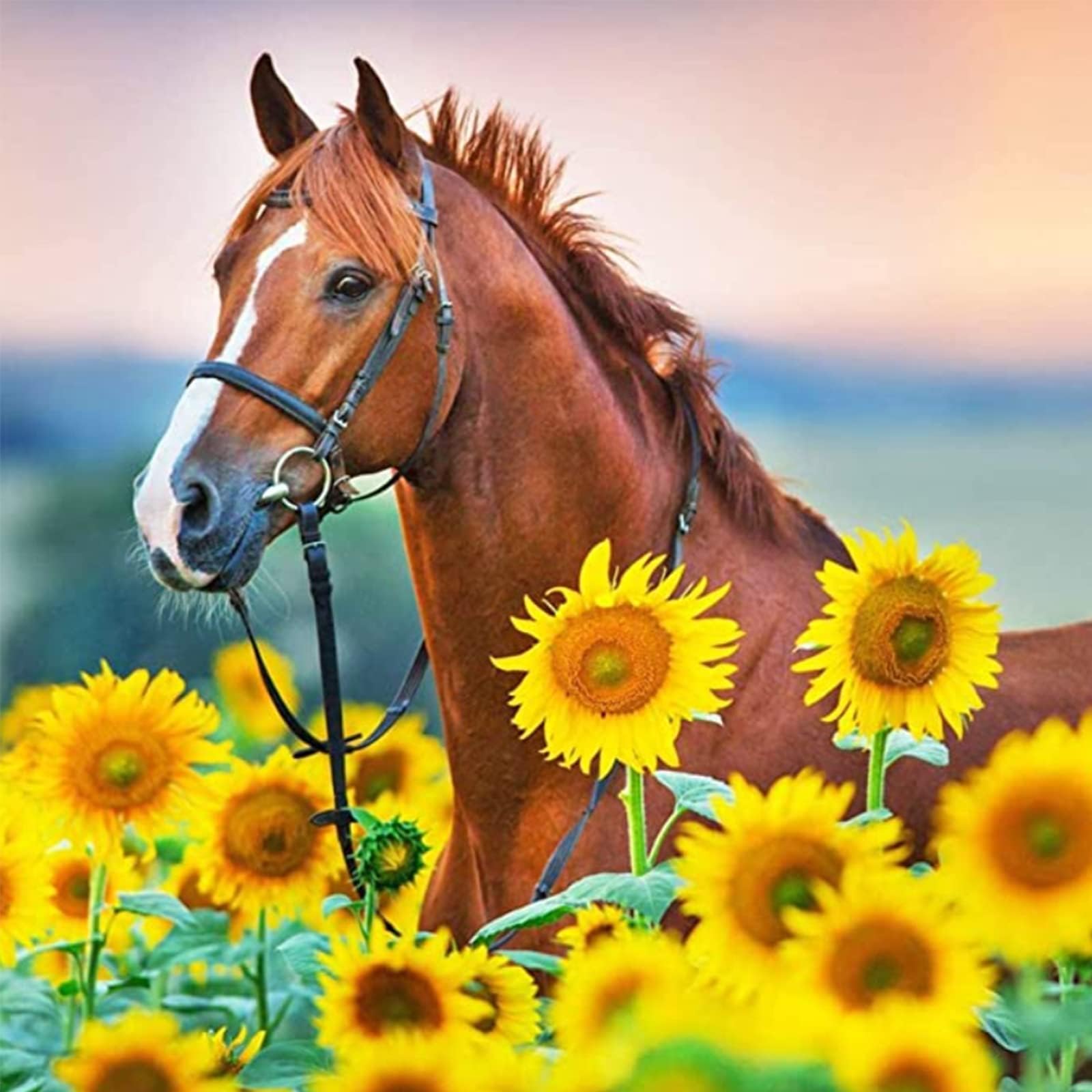 BOHADIY Diamond Painting Kits for Adults and Kids, Horse Sunflower Diamonds Art Paint with Diamonds,5d Diamond Painting Crystal Rhinestone Diamond Cross Stitch,DIY 5D Round Full Drill Art 16 × 16 Inch