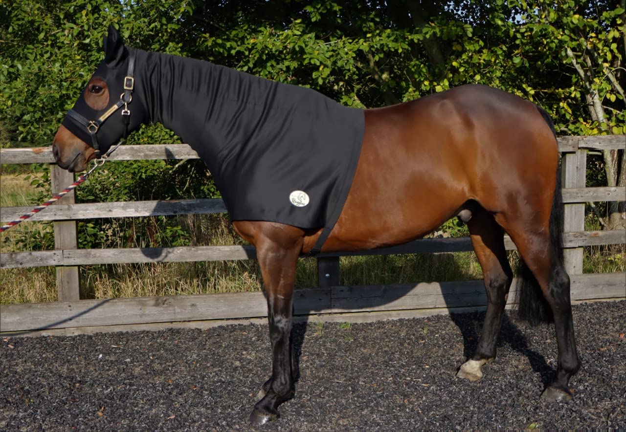Ruggles Lycra Turnout Hood With Zip and Ears for Horse and Pony | Thicker Water Repellent Lycra | Helps protect from Mud Wind and Wet | Black |Small to XL (Extra Large, Black)