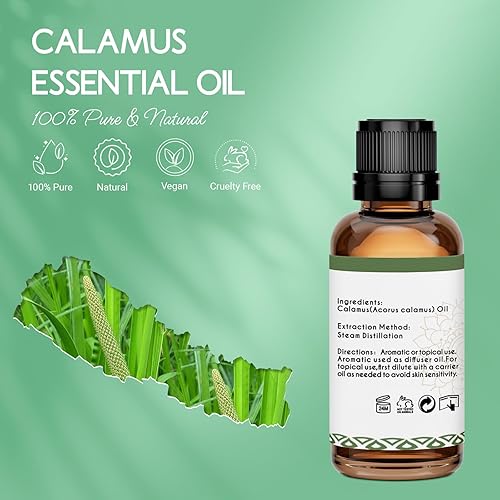 Miniatura 2 de Aceite esencial de calamus para difusor de cabello de piel, aceite de unción DIY, 1 onza