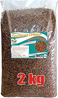GardenersDream getrocknete Mehlwürmer- Narhaftes wildes Garten Vogelfutter product image