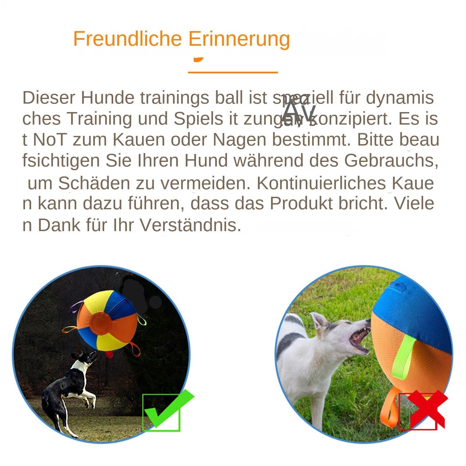 Hüteball für Hunde Aufblasbares Riesenschwimmspielzeug Für Haustiere