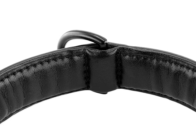 Foto 8 de 8 de Brute Strength Collar Perro Negro, Costuras Negras XXL · 66–73 x 3,5 cm