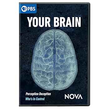 (未使用･未開封品)Mystical Brain [DVD] Amazon.com: NOVA: Your Brain : n/a, Michael Bicks, Anna Lee
