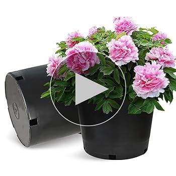 小物 Neighborhood BAPE NBHD PLANT POT BAPE X NBHD 】PLANT POT | bape.com