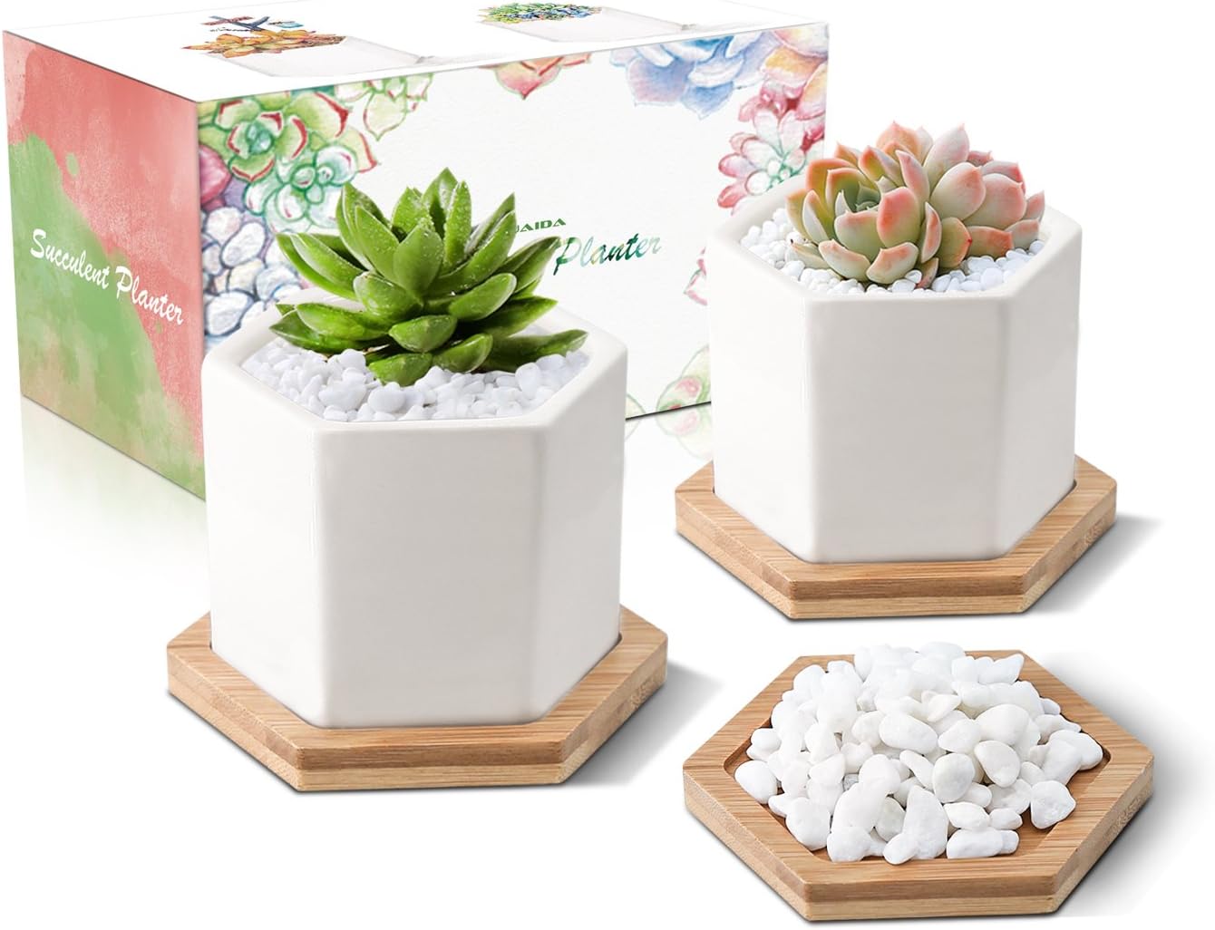 3.35 Inch PUAIDA White Ceramic Succulent Planter with Hexagon Design, Plant Pot for Succulent Plants, Small Cactus and Herbs with Bamboo Trays and Stone for Room Decor- Set of 2 …