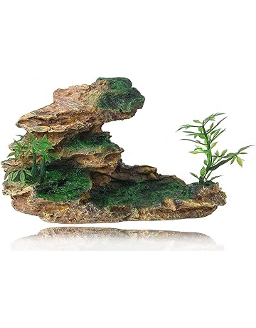 熱帯魚 アクアリウム内装 Amazon アマゾン