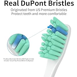 Replacement Toothbrush Heads for Philips Sonicare Electric Toothbrush, Replacement Brush Heads Compatible with Philips Sonicare Electric Toothbrush, 6Pack