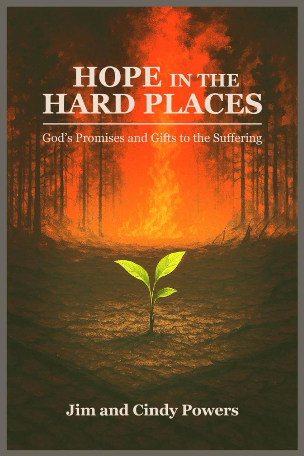 Hope in the Hard Places: God’s Promises and Gifts to the Suffering