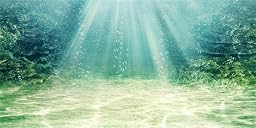 120x46cm Aquarium Hintergrund Wasserpflanze Blase Unterwasser Ozean Boden Fisch Tank Poster Hintergrund Vinyl Hintergrund