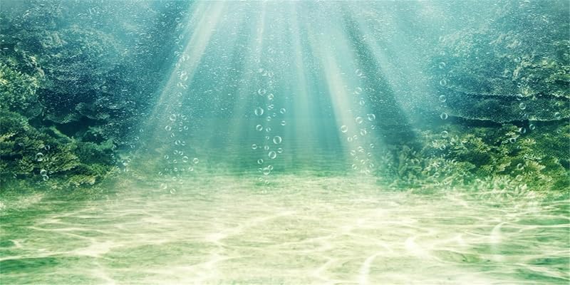 120x46cm Aquarium Hintergrund Wasserpflanze Blase Unterwasser Ozean Boden Fisch Tank Poster Hintergrund Vinyl Hintergrund