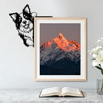 CUTHOLLOW Peeping at Border Collie Door Topper Sign Metal Wall Art Decor | 9.8x9.8 Double-Sided Metal Hanging Sign Door Frame Decor, Door Corner Accent Room Entryway & Home Housewarming Decoration