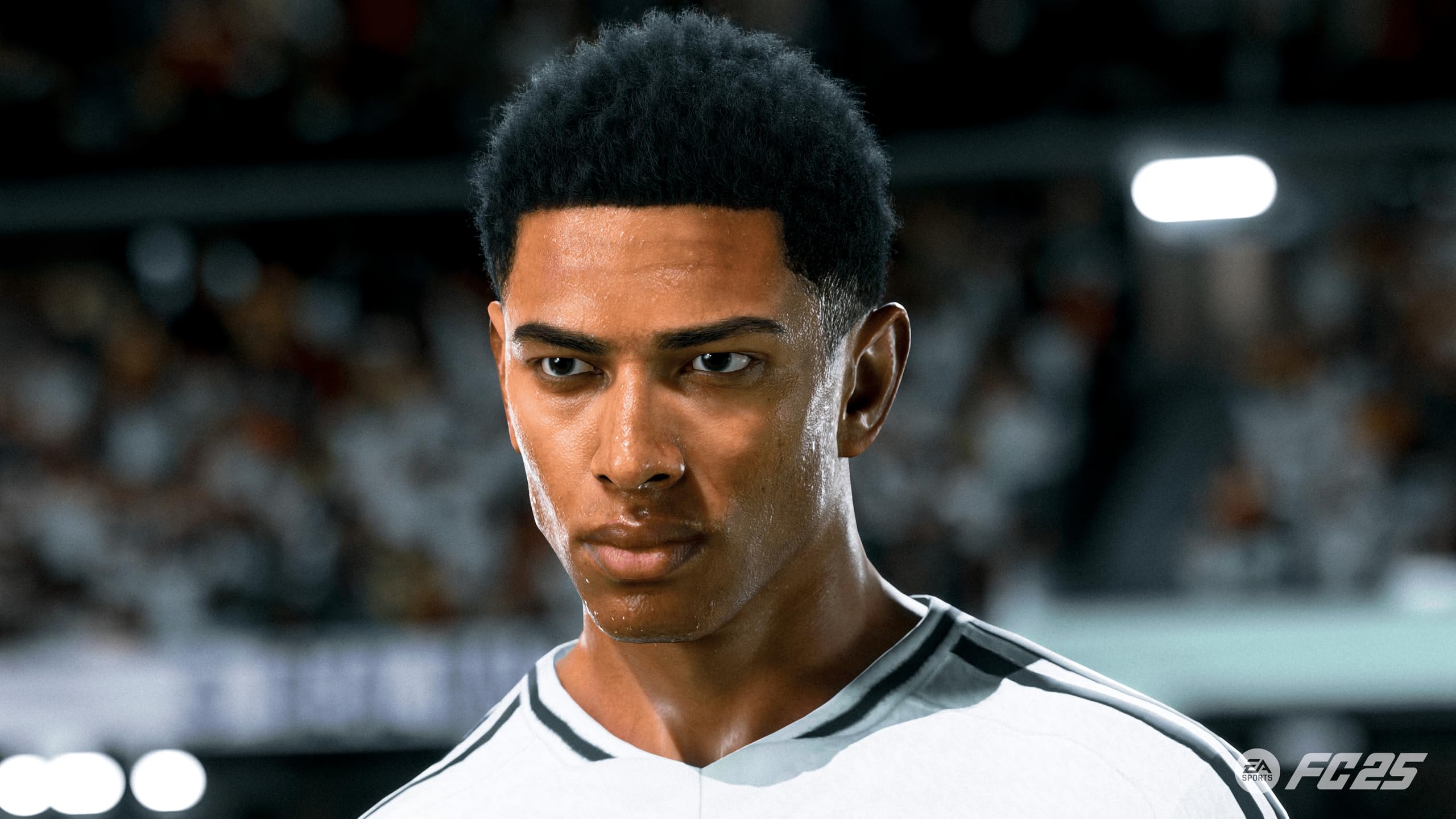 Electronic Arts Gra wideo Playstation 4 FC25 – marka EAN: 5030936125374