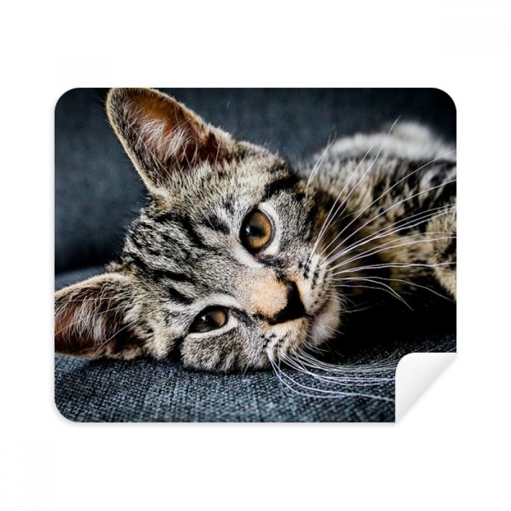 Nettoyer écran téléphone et lunettes sans rayure - Chiffon suède chat mignon 2Pcs