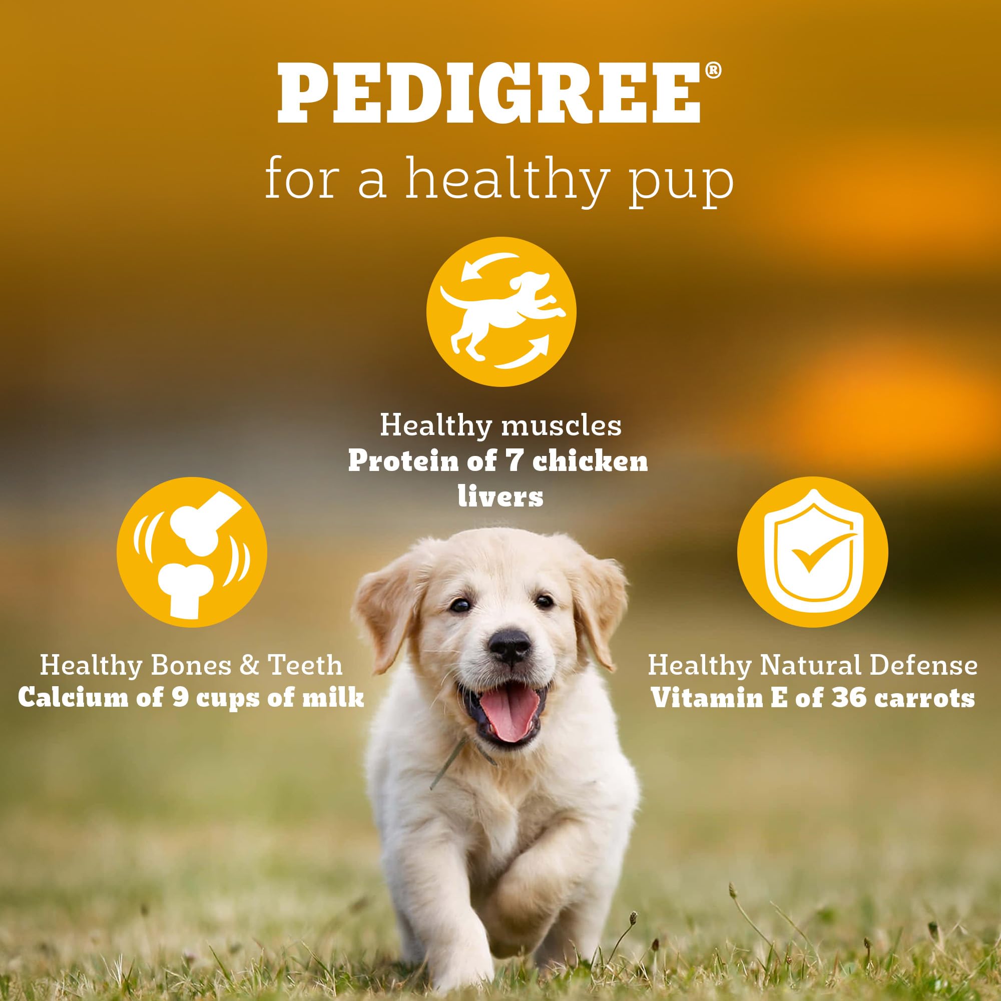 Pedigree Puppy Dry Dog Food, Chicken & Milk, 3 kg, Contains 37 Essential Nutrients, 100% Complete & Balanced Food for Puppies 4