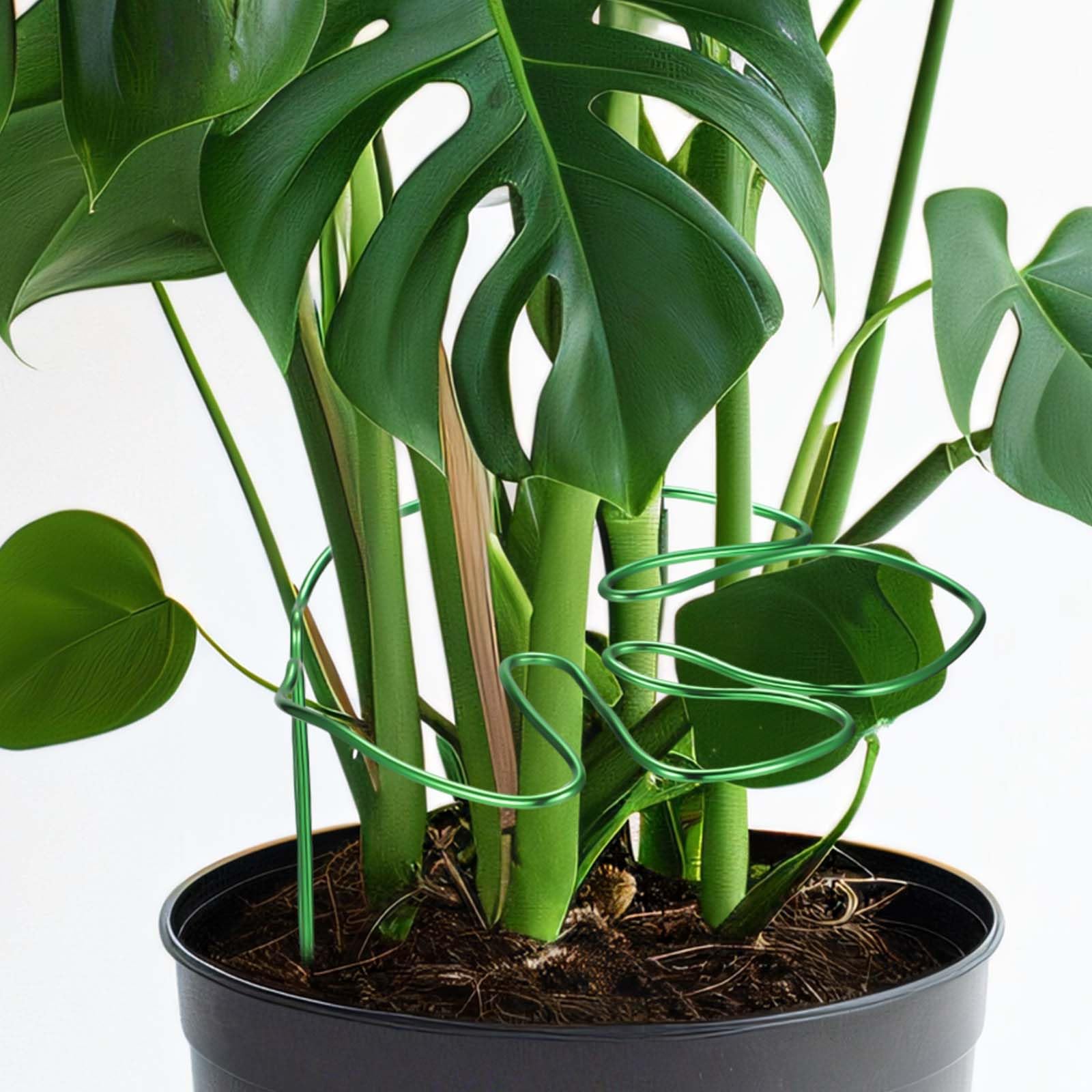 Monstera Shaped Plant Support, Cute Green Alloy Plant Cage Monstera