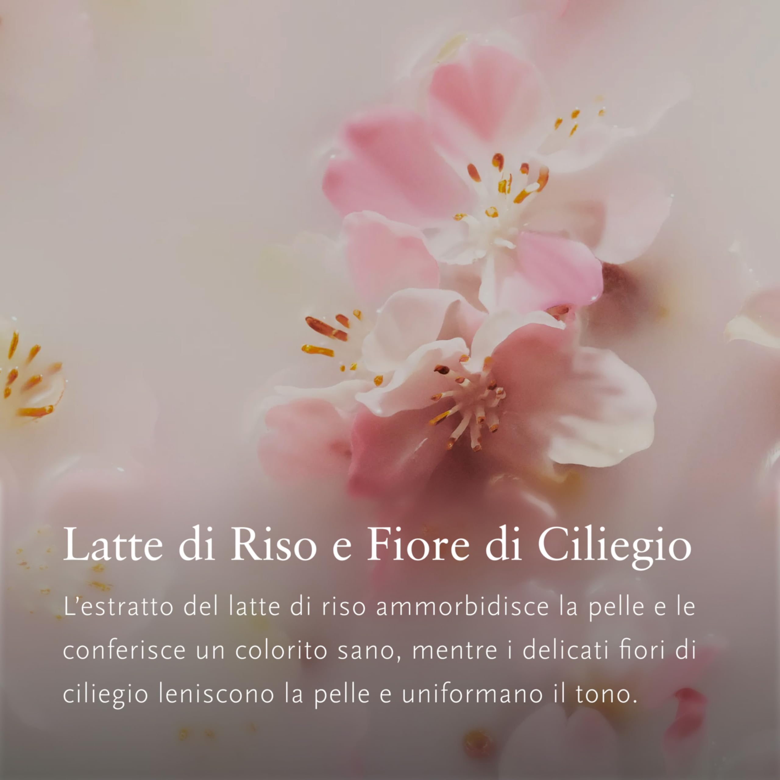 RITUALS The Ritual of Sakura Pack Ahorro con 3 Espumas – Geles con Flor de Cerezo y Almendra Dulce, Gel Renovador – 3 x 200 ml | Rica ducha de limpieza con fragancia icónica, paquete de ahorro