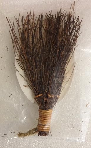 Miniatura 2 de Batidor de canela Trader Joe's - Decorativo, aromático y práctico por naturaleza