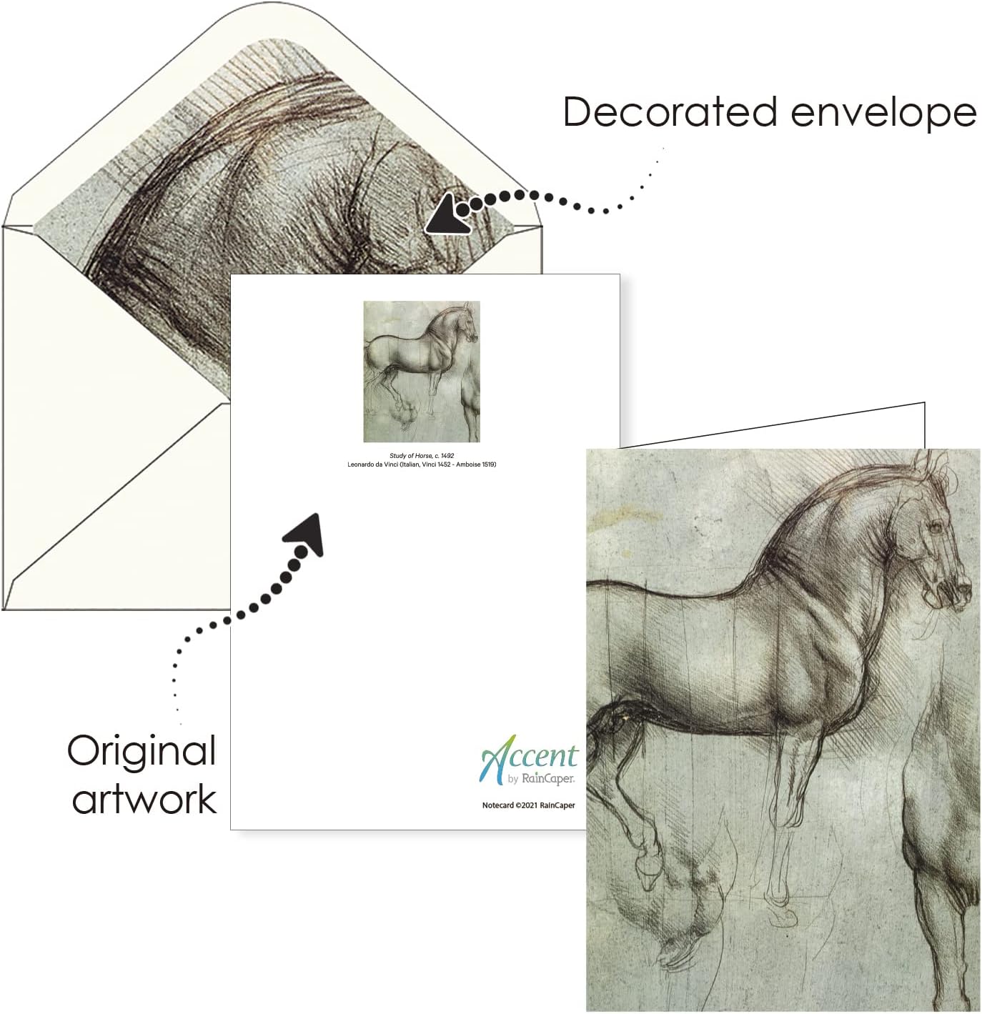 RainCaper Fine Art Keepsake 5x7 Blank Stationery da Vinci Greeting Note Cards With Decorative Envelopes, Gift Boxed Set of 16 | 300 GSM Cardstock (da Vinci Favorites)