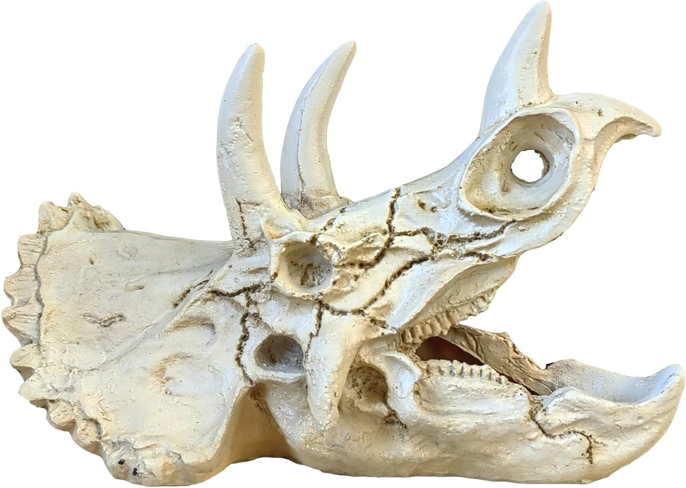 Triceratops Dragon Skull Resin modeling water features home decor resin simulation offering hiding suitable for fish, shrimp, lizards, reptiles, frogs